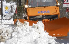 Anas - Mezzi spargi sale - neve (4)