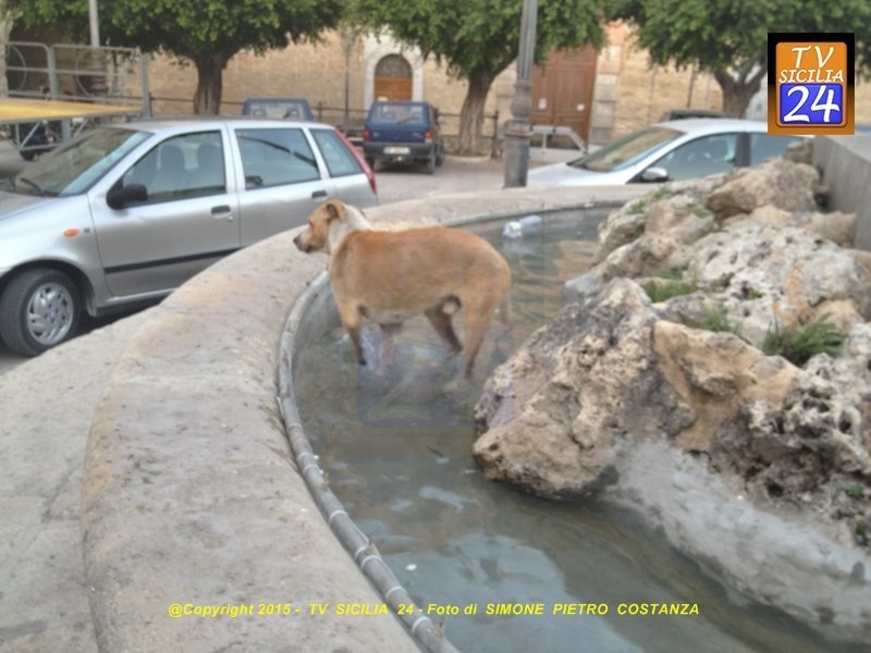 Aragona - Piazza Umberto I - Milite Ignoto (1)