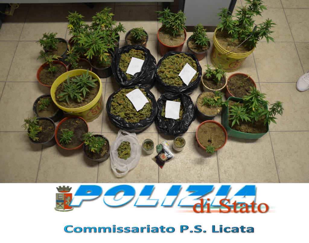 Polizia - droga - cannabis (1)